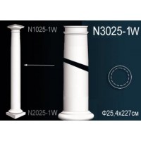 N3025-1W  Колонна ствол