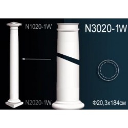 N3020-1W  Колонна ствол