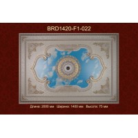 Потолочный цветной купол BRD1420-F1-022