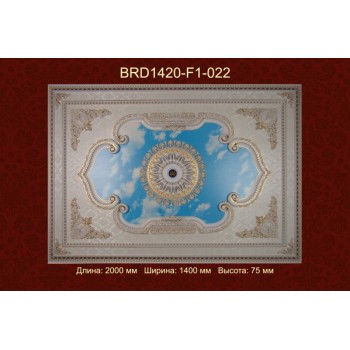 Потолочный цветной купол BRD1420-F1-022